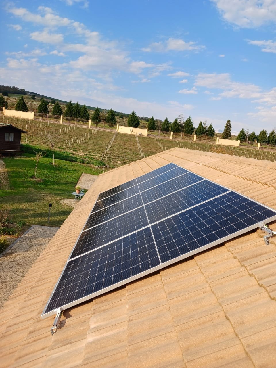 whatsapp-image-2025-04-26-at-144501-48b4cac5